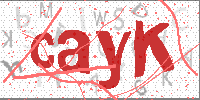 CAPTCHA Image